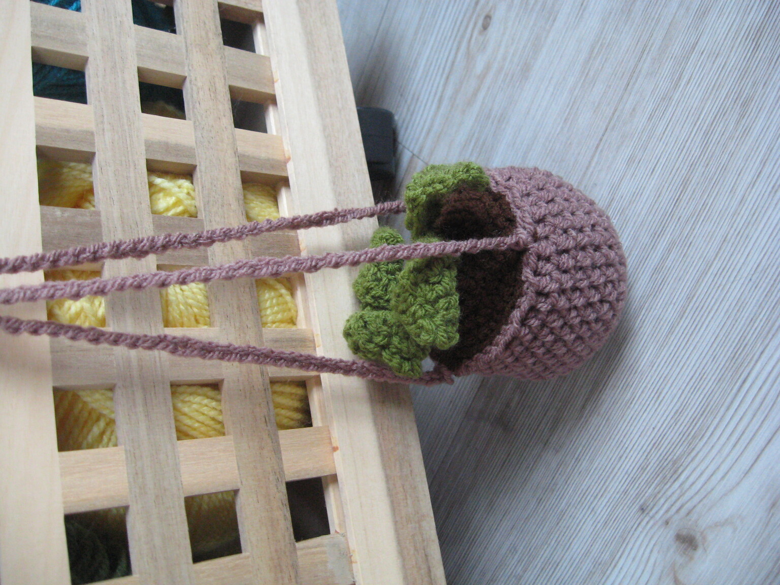 Bild - Hängepflanze